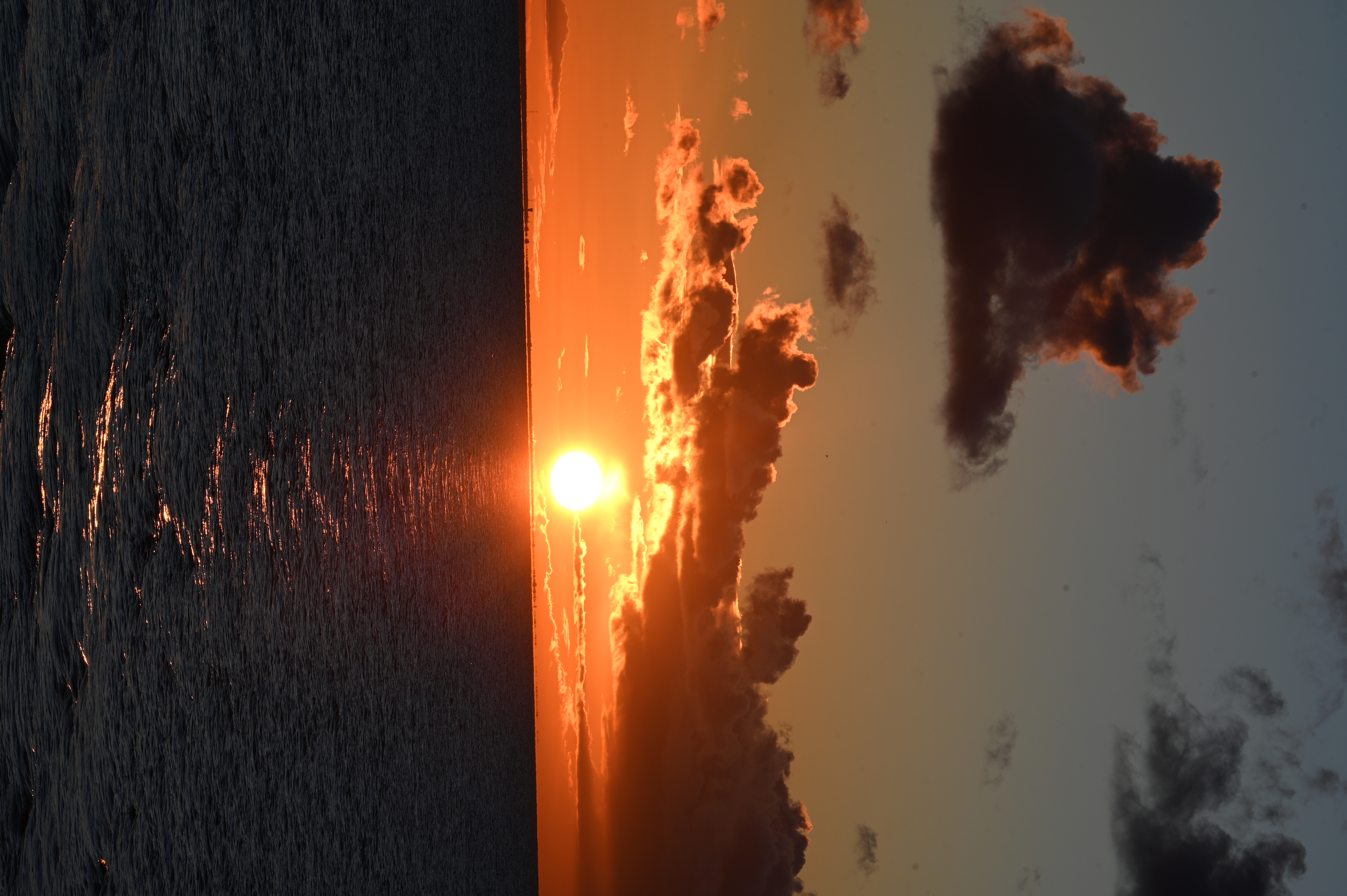 2025/10/18 - walk/DSC_0447.JPG